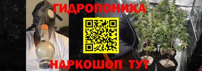 ПСИЛОЦИБИНОВЫЕ ГРИБЫ Татарск