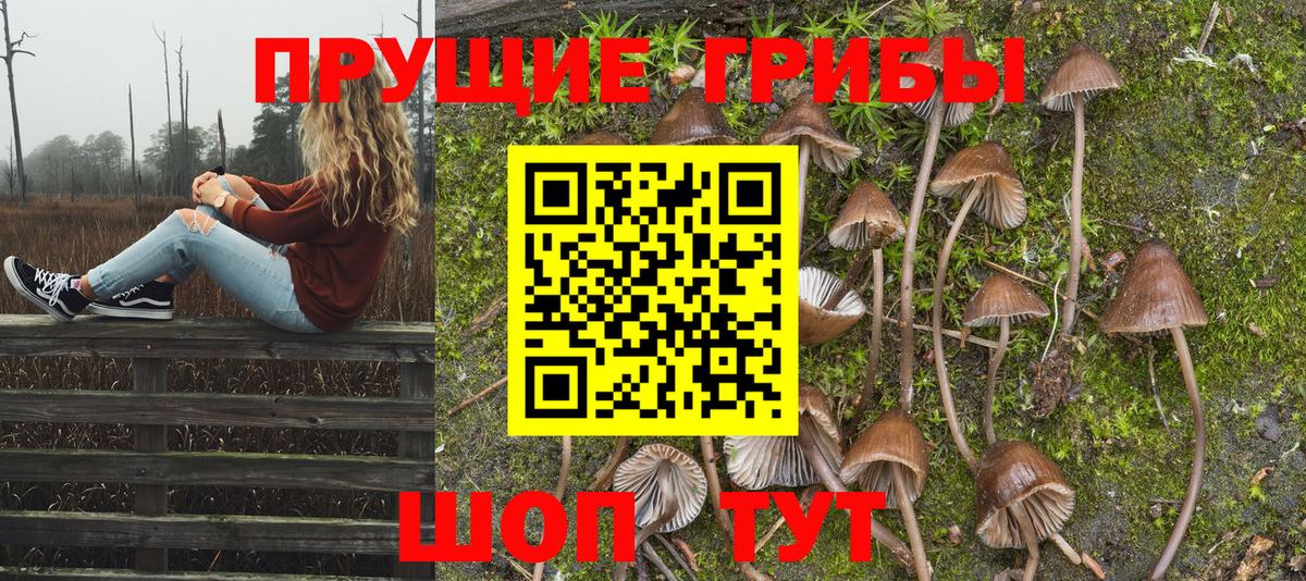 Псилоцибиновые грибы Psilocybine cubensis  Вход с VPN  Нижнеудинск 