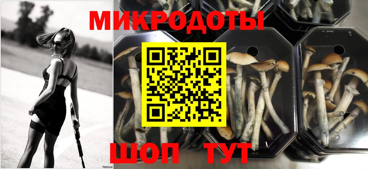 Галлюциногенные грибы прущие грибы Нижнеудинск